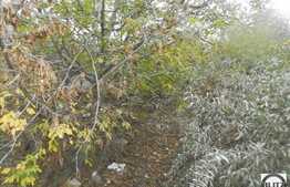 Teren de vanzare, 419 mp, front de 25 ml, utilitati in apropiere, zona de TOP