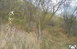 Teren de vanzare, 419 mp, front de 25 ml, utilitati in apropiere, zona de TOP