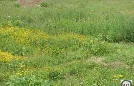 Vanzare teren 21100 mp, Extras de Carte Funciara!