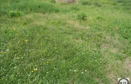 Vanzare teren 21100 mp, Extras de Carte Funciara!