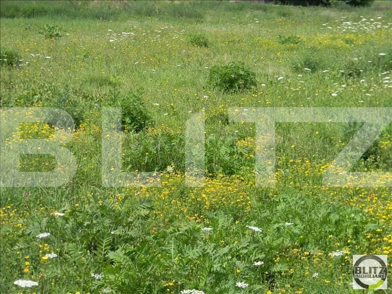 Teren de vânzare Marasti - 23235TV | BLITZ Cluj-Napoca | Poza4