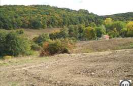 Alege suprafata care te intereseaza intre 700-8000 mp!