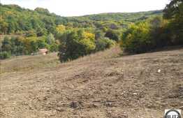 Alege suprafata care te intereseaza intre 700-8000 mp!