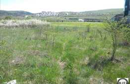 Teren cu front la E60, potential maxim, 13126 mp!