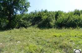 Teren de vanzare, ideal casa individuala, 1464 mp