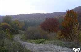 Teren pretabil constructie hotel, azil de batrani, proiect de case individuale !