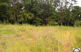 EXCLUSIVITATE ! Teren situat pe strada Edgar Quinet. SUPEROFERTA !