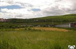 Teren cu front la E60, potential maxim, 13126 mp!