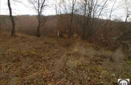 De vanzare teren, suprafata totala de 910 mp cu front de 33 ml, zona frumoasa!