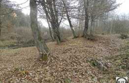 De vanzare teren, suprafata totala de 910 mp cu front de 33 ml, zona frumoasa!