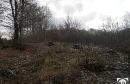 De vanzare teren, suprafata totala de 910 mp cu front de 33 ml, zona frumoasa!