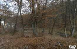 De vanzare teren, suprafata totala de 910 mp cu front de 33 ml, zona frumoasa!