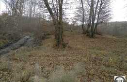 De vanzare teren, suprafata totala de 910 mp cu front de 33 ml, zona frumoasa!