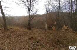 De vanzare teren, suprafata totala de 910 mp cu front de 33 ml, zona frumoasa!