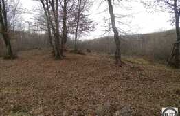 De vanzare teren, suprafata totala de 910 mp cu front de 33 ml, zona frumoasa!