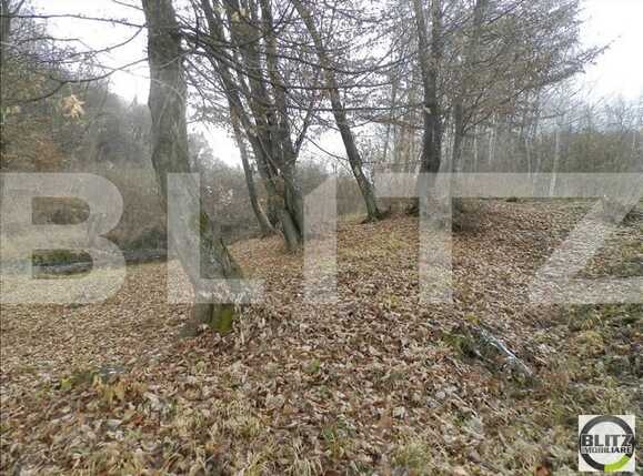 Teren de vânzare Manastur - 23253TV | BLITZ Cluj-Napoca | Poza1