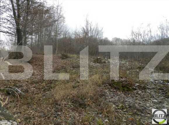 Teren de vânzare Manastur - 23253TV | BLITZ Cluj-Napoca | Poza2