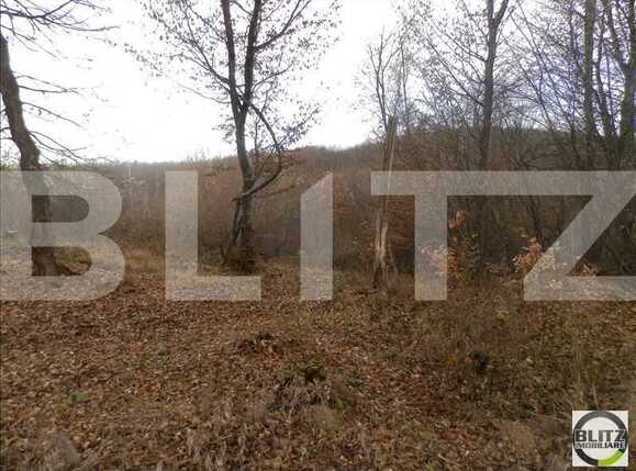 Teren de vânzare Manastur - 23253TV | BLITZ Cluj-Napoca | Poza6