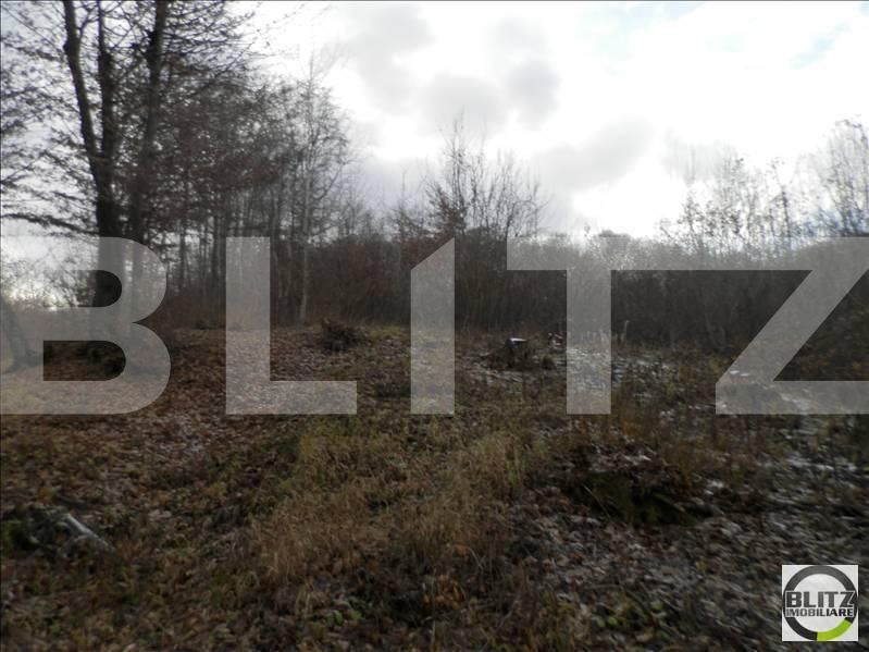 Teren de vânzare Manastur - 23253TV | BLITZ Cluj-Napoca | Poza14