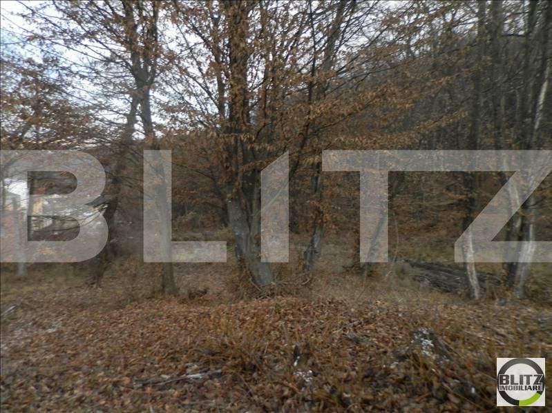 Teren de vânzare Manastur - 23253TV | BLITZ Cluj-Napoca | Poza3