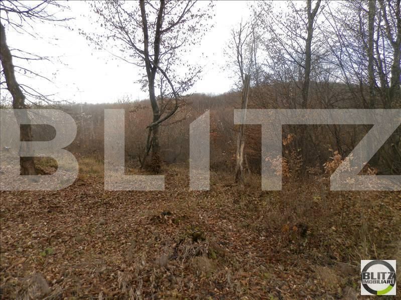 Teren de vânzare Manastur - 23253TV | BLITZ Cluj-Napoca | Poza6