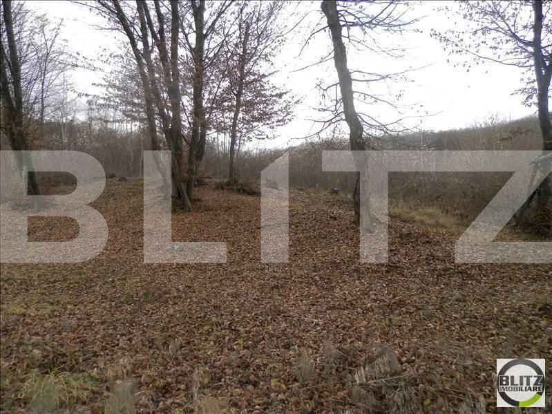Teren de vânzare Manastur - 23253TV | BLITZ Cluj-Napoca | Poza7