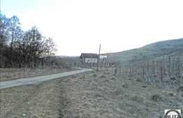 Teren de vanzare 3500 mp, front 35 ml, zona foarte linistita!