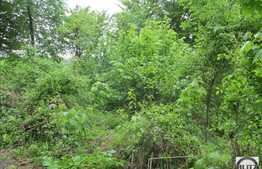 Teren de vanzare 455 mp, front de 19,7 ml, cu PUZ si PUD, zona linistita