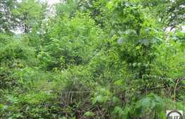 Teren de vanzare 455 mp, front de 19,7 ml, cu PUZ si PUD, zona linistita