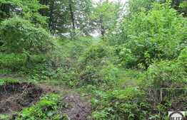 Teren de vanzare 455 mp, front de 19,7 ml, cu PUZ si PUD, zona linistita