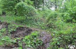 Teren de vanzare 455 mp, front de 19,7 ml, cu PUZ si PUD, zona linistita