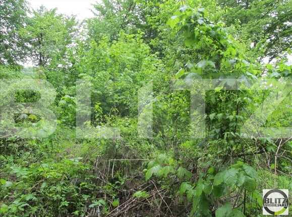 Teren de vânzare Manastur - 23269TV | BLITZ Cluj-Napoca | Poza1