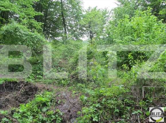 Teren de vânzare Manastur - 23269TV | BLITZ Cluj-Napoca | Poza4