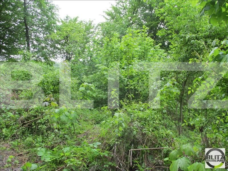 Teren de vânzare Manastur - 23269TV | BLITZ Cluj-Napoca | Poza2