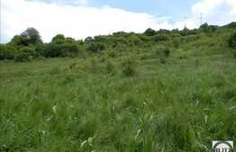 Teren de vanzare, 2000 mp, zona linistita de case/vile!