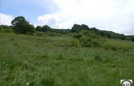 Teren de vanzare, 2000 mp, zona linistita de case/vile!