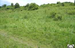 Teren de vanzare, 2000 mp, zona linistita de case/vile!