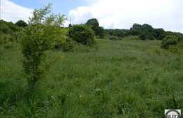 Teren de vanzare, 2000 mp, zona linistita de case/vile!