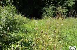 Teren de vanzare 592 mp, utilitati la front, zona linistita de case!