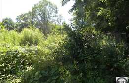 Teren de vanzare 592 mp, utilitati la front, zona linistita de case!