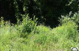 Teren de vanzare 592 mp, utilitati la front, zona linistita de case!