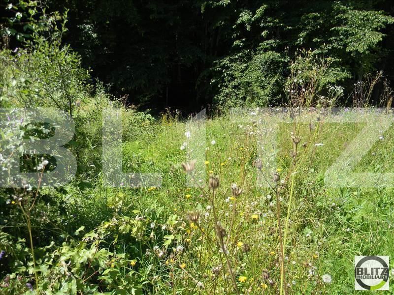 Teren de vânzare Manastur - 23272TV | BLITZ Cluj-Napoca | Poza2