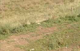 Vanzare teren de 2500 mp, front de 36 ml! Zona Polus Center! Oportunitate!