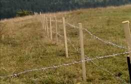 Vanzare teren de 2500 mp, front de 36 ml! Zona Polus Center! Oportunitate!