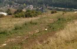 Vanzare teren de 2500 mp, front de 36 ml! Zona Polus Center! Oportunitate!