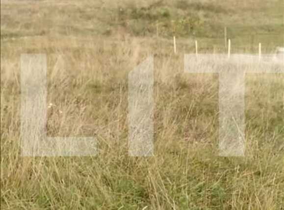 Teren de vânzare Floreşti - 23274TV | BLITZ Cluj-Napoca | Poza3