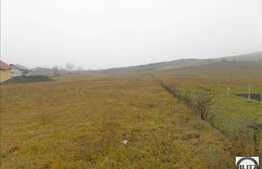 Vanzare teren 3000 mp, cu front de 100 ml, parcelabil, pentru casa/duplex