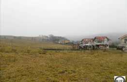 Vanzare teren 3000 mp, cu front de 100 ml, parcelabil, pentru casa/duplex