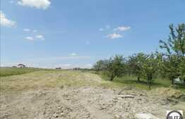 Vanzare teren, 500 mp, front stradal 24 ml, regim inaltime P+2, zona linistita!