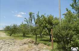 Vanzare teren, 500 mp, front stradal 24 ml, regim inaltime P+2, zona linistita!